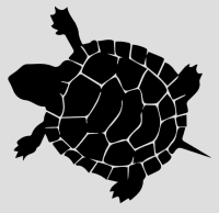 SoloCanoes.com's Snapping Turtle
